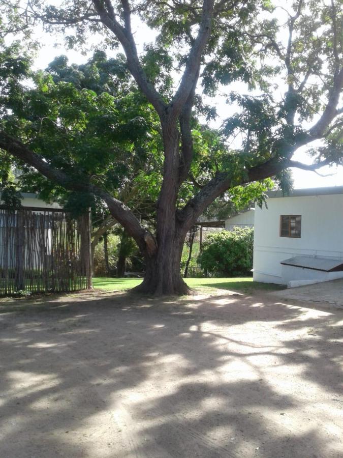 Woodpecker Apartman Plettenberg Bay Kültér fotó