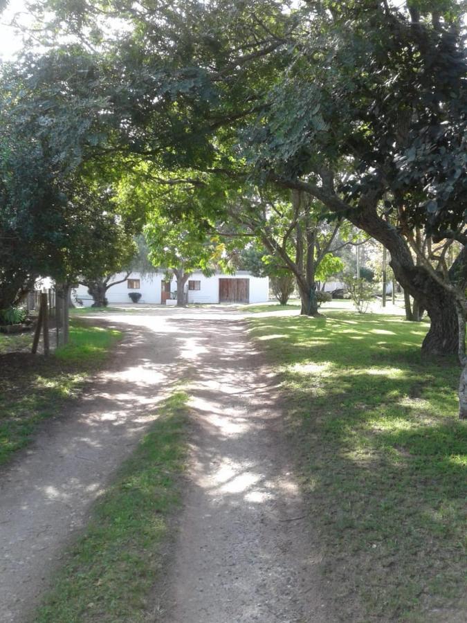 Woodpecker Apartman Plettenberg Bay Kültér fotó