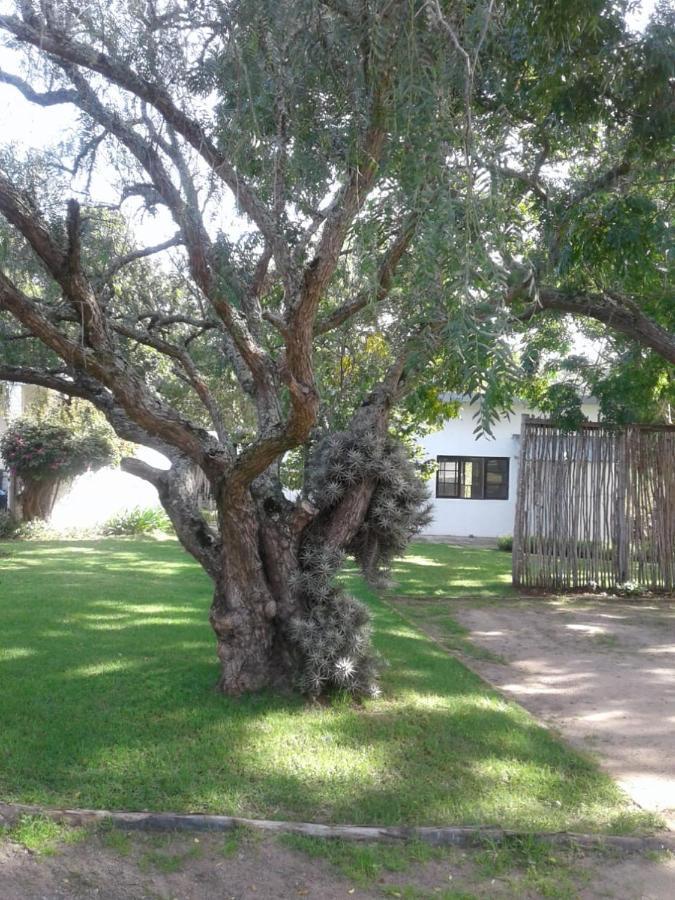 Woodpecker Apartman Plettenberg Bay Kültér fotó